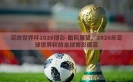 足球世界杯2026博彩-临风展望，2026年足球世界杯的全球博彩盛宴