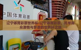 辽宁体育彩票世界杯-辽宁体育彩票，托举民众激情与梦想的世界杯之旅