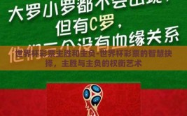 世界杯彩票主胜和主负-世界杯彩票的智慧抉择，主胜与主负的权衡艺术