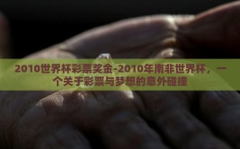2010世界杯彩票奖金-2010年南非世界杯，一个关于彩票与梦想的意外碰撞
