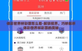 体彩世界杯彩票怎么看-解锁视界，巧妙解析体彩世界杯彩票的奥秘
