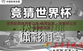 体育彩票世界杯让球-体育彩票，世界杯让球的博弈艺术