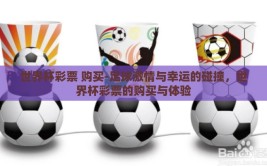 世界杯彩票 购买-足球激情与幸运的碰撞，世界杯彩票的购买与体验
