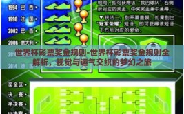 世界杯彩票奖金规则-世界杯彩票奖金规则全解析，视觉与运气交织的梦幻之旅