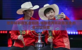 世界杯彩票奖金包括-揭秘世界杯彩票奖金的全方位探查