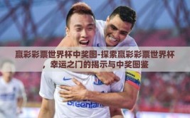 赢彩彩票世界杯中奖图-探索赢彩彩票世界杯，幸运之门的揭示与中奖图鉴