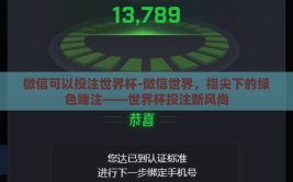 微信可以投注世界杯-微信世界，指尖下的绿色赌注——世界杯投注新风尚