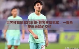 世界杯猜冠军的彩票-世界杯猜冠军，一票希望与未知的交织
