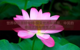 世界杯彩票好中吗-探究世界杯彩票，中奖的幸运之路与理性之选