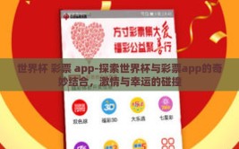 世界杯 彩票 app-探索世界杯与彩票app的奇妙结合，激情与幸运的碰撞