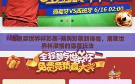 哪里卖世界杯彩票-畅购彩票新体验，解锁世界杯激情的隐藏玩法