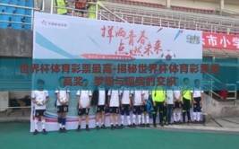 世界杯体育彩票最高-揭秘世界杯体育彩票最高奖，梦想与现实的交织