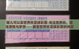 哪儿可以买世界杯足球彩票-关注世界杯，激活激情与梦想——解密世界杯足球彩票的购买途径