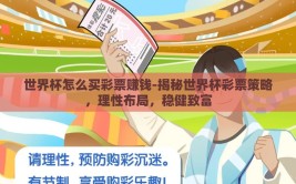 世界杯怎么买彩票赚钱-揭秘世界杯彩票策略，理性布局，稳健致富
