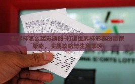 世界杯怎么买彩票的-打造世界杯彩票的赢家策略，实战攻略与注意事项