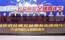 世界杯体育彩票-激情狂欢，预测未来，揭秘世界杯体育彩票的魅力