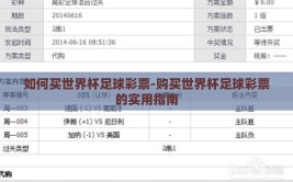 如何买世界杯足球彩票-购买世界杯足球彩票的实用指南