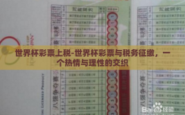 世界杯彩票上税-世界杯彩票与税务征缴，一个热情与理性的交织