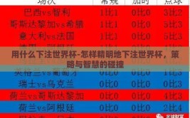 用什么下注世界杯-怎样精明地下注世界杯，策略与智慧的碰撞