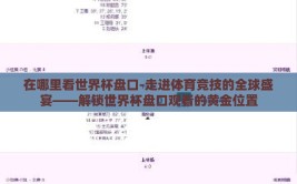在哪里看世界杯盘口-走进体育竞技的全球盛宴——解锁世界杯盘口观看的黄金位置