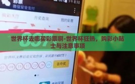 世界杯去哪买彩票啊-世界杯狂热，购彩小贴士与注意事项