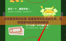 怎样看世界杯彩票-掌握世界杯彩票的艺术，理性观赛与投资策略的融合
