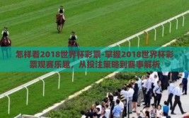 怎样看2018世界杯彩票-掌握2018世界杯彩票观赛乐趣，从投注策略到赛事解析