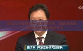 用什么下注世界杯-思辨世界杯，智取胜于勇——揭秘如何精准选择下注