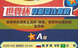 世界杯彩票怎么买啊-揭秘，世界杯彩票购买全攻略