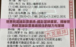 世界杯足球彩票单场-精彩足球盛宴，揭秘世界杯足球彩票单场投注的魅力与策略