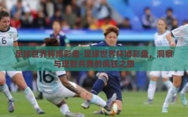 足球世界杯博彩盘-足球世界杯博彩盘，洞察与理智共舞的疯狂之旅
