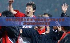体育彩票世界杯直播-体育彩票与世界杯直播，激情碰撞的视听盛宴