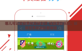 哪儿可以买世界杯足球彩票-畅游足彩乐园，解锁世界杯购彩新体验