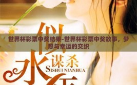世界杯彩票中奖结果-世界杯彩票中奖故事，梦想与幸运的交织