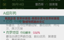 网易彩票 世界杯赛程-网易彩票与世界杯赛程，激情与机遇的交汇