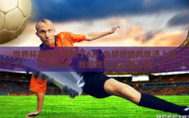 世界杯足球彩票输了6万-当梦想的风帆遇上现实的海洋，我的世界杯彩票之旅