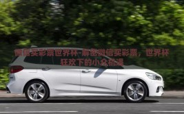 微信买彩票世界杯-解密微信买彩票，世界杯狂欢下的小众机遇
