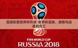 足球彩票世界杯开奖-世界杯足球，激情与运道的交汇