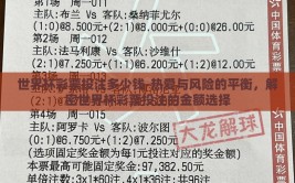 世界杯彩票投注多少钱-热爱与风险的平衡，解密世界杯彩票投注的金额选择