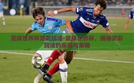 足球世界杯足彩玩法-足球世界杯，揭秘足彩玩法的乐趣与策略