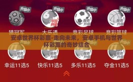 安卓世界杯彩票-走向未来，安卓手机与世界杯彩票的奇妙结合