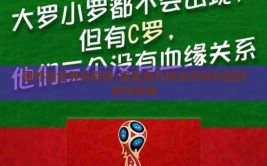 国外买世界杯彩票-探索海外购世界杯彩票的多元视角