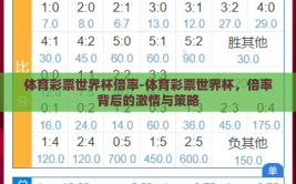 体育彩票世界杯倍率-体育彩票世界杯，倍率背后的激情与策略