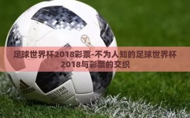 足球世界杯2018彩票-不为人知的足球世界杯2018与彩票的交织