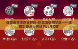 体育彩票卖世界杯吗-照亮激情与梦想——体育彩票与世界杯的非凡交汇