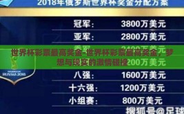 世界杯彩票最高奖金-世界杯彩票最高奖金，梦想与现实的激情碰撞