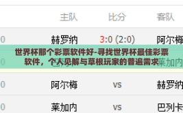 世界杯那个彩票软件好-寻找世界杯最佳彩票软件，个人见解与草根玩家的普遍需求