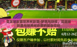 买足球彩票世界杯彩票-梦想与抉择，买足球彩票与世界杯彩票的复杂交织