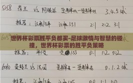 世界杯彩票胜平负都买-足球激情与智慧的碰撞，世界杯彩票的胜平负策略