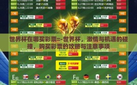世界杯在哪买彩票=-世界杯，激情与机遇的碰撞，购买彩票的攻略与注意事项